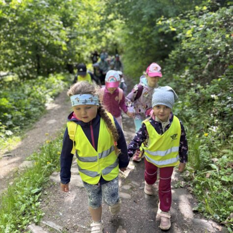 IMG_3465